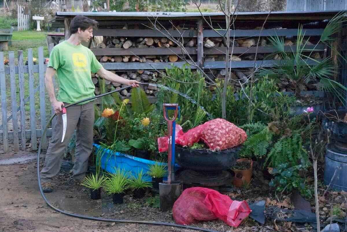 Gardener watering plants in a lush garden